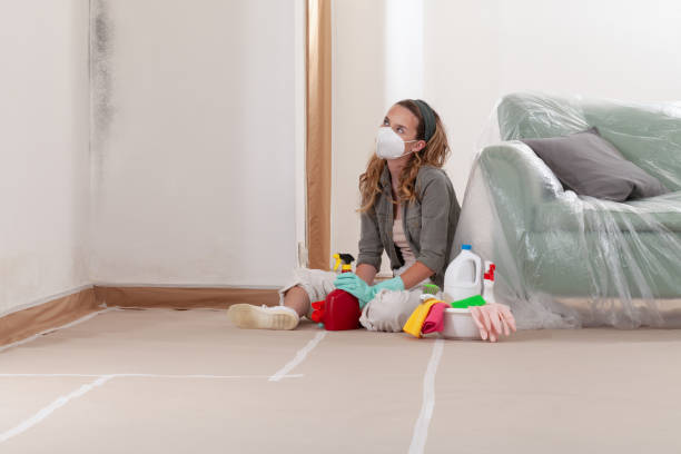 Reliable Mold Remediation contractor in Brinklow, MD by 24 Hour Mold Removal